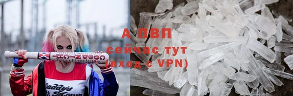 соль ск Алексин