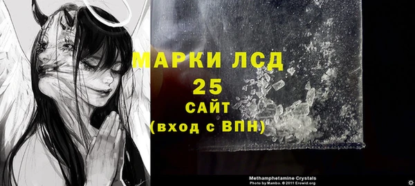 ГАЛЛЮЦИНОГЕННЫЕ ГРИБЫ Алзамай